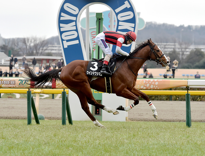 2024 Yurikamome Prize Win Maximum Winner February 4, 2024, Horse Racing Race 9R Yurikamome sho, 1 3, Win Maximam, Masakai Matsuoka, jockey Location Tokyo Racecourse,