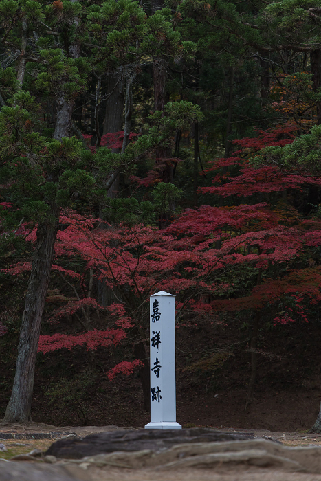 Kasho-ji ruins and autumn leaves in Motsu-ji Garden, Hiraizumi Town, Nishiwai-gun, Iwate Prefecture, Japan