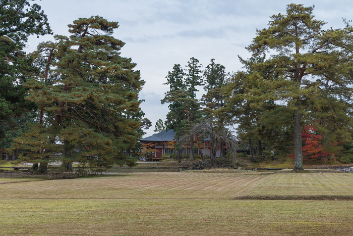 Motsuji Garden and Main Hall, Hiraizumi, Nishiwai-gun, Iwate, Japan