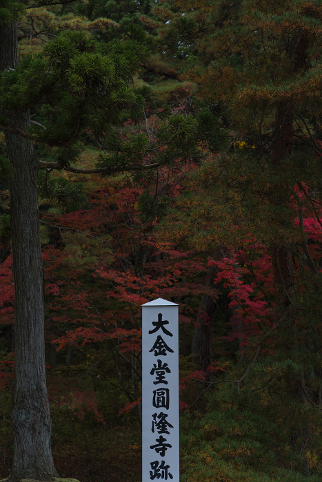 Kondo Enryu-ji ruins and autumn leaves in Motsu-ji Garden, Hiraizumi-cho, Nishiwai-gun, Iwate, Japan