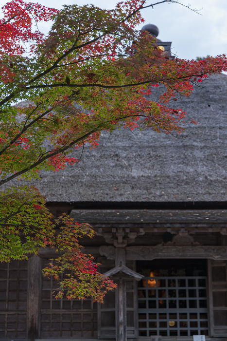 Jogyodo and autumn leaves in Motsuji Garden, Hiraizumi Town, Nishiwai-gun, Iwate Prefecture, Japan