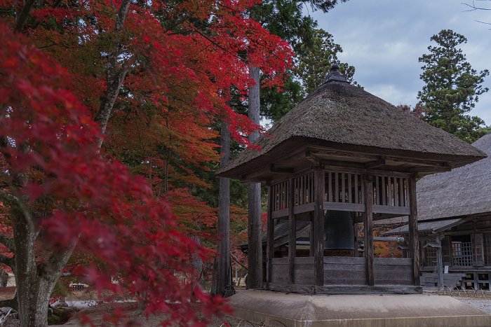Belfry and autumn leaves in Motsuji Garden, Hiraizumi Town, Nishiwai-gun, Iwate Prefecture, Japan