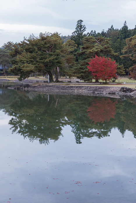 Pure Land Garden and Autumn Leaves in Motsuji Garden, Hiraizumi Town, Nishiwai-gun, Iwate Prefecture, Japan