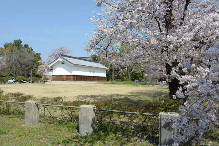 Nijo Castle in springtime: storehouses and cherry blossoms Nakagyo-ku, Kyoto