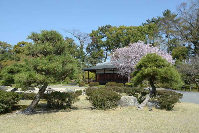 Kountei at Nijo Castle Seiryuen in spring, Nakagyo-ku, Kyoto