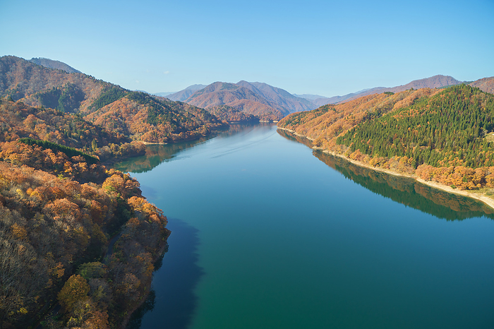 Lake Kuzuryu and Autumn Leaves Fukui Prefecture