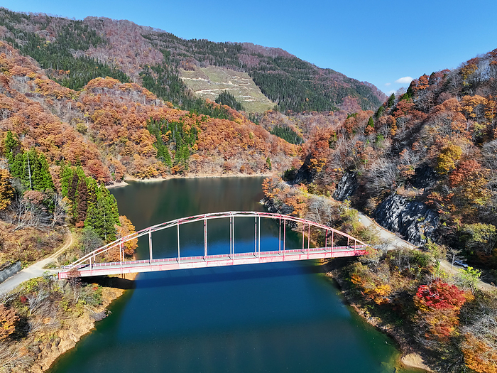 Isekawa Bridge and Autumn Leaves Fukui Pref.