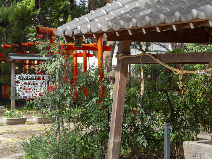 Shrine's hand-watering basin and torii (gateway to the shrine)