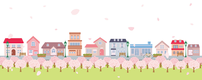Spring streets in bloom with cherry blossoms