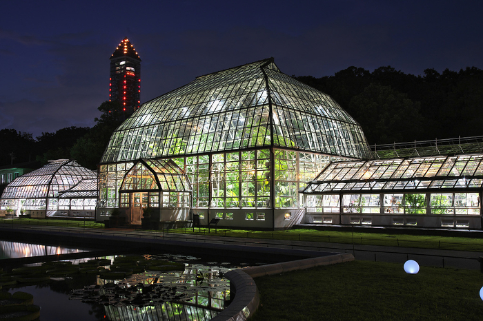 Nagoya City Higashiyama Botanical Garden greenhouse lit up in summer