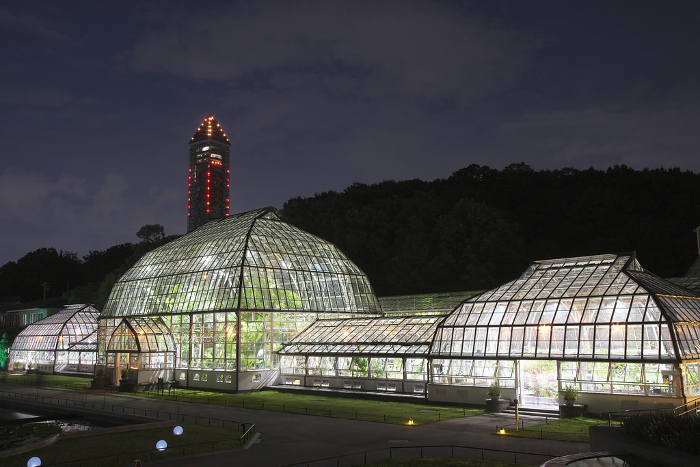 Greenhouse of the Public Botanical Garden lit up in summer