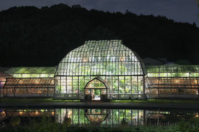 Nagoya City Higashiyama Botanical Garden greenhouse lit up in summer