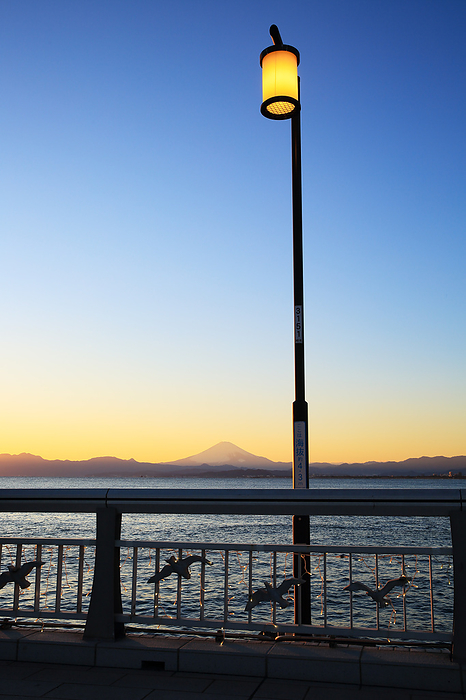 Fuji at sunset Kanagawa Pref. Taken from Enoshima Bridge