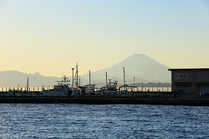 Katase Fishing Port and Mt.