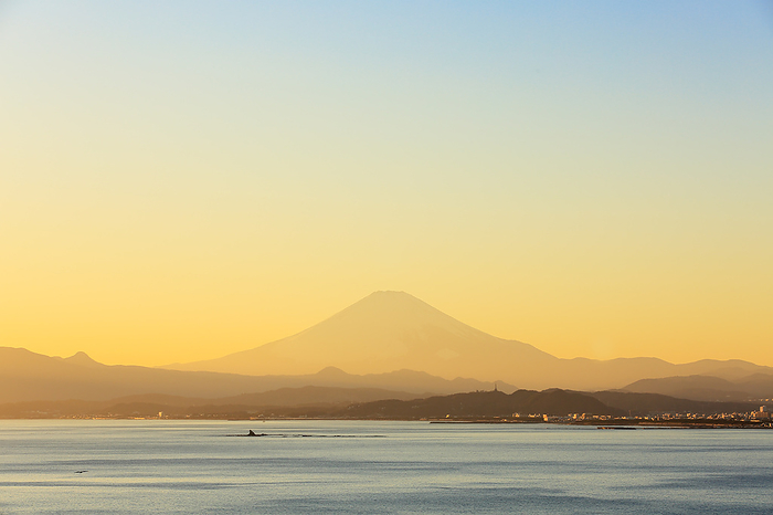 Fuji at sunset Kanagawa Pref. Enoshima Sea Candle, photographed from Sunset Terrace