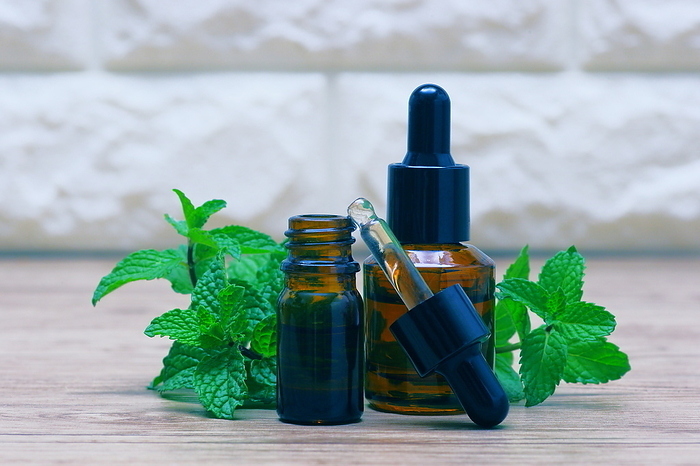 Mint and essential oils