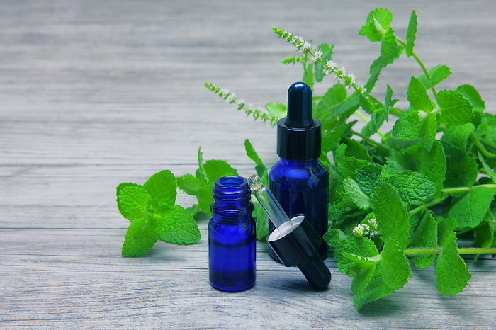 Mint and essential oils
