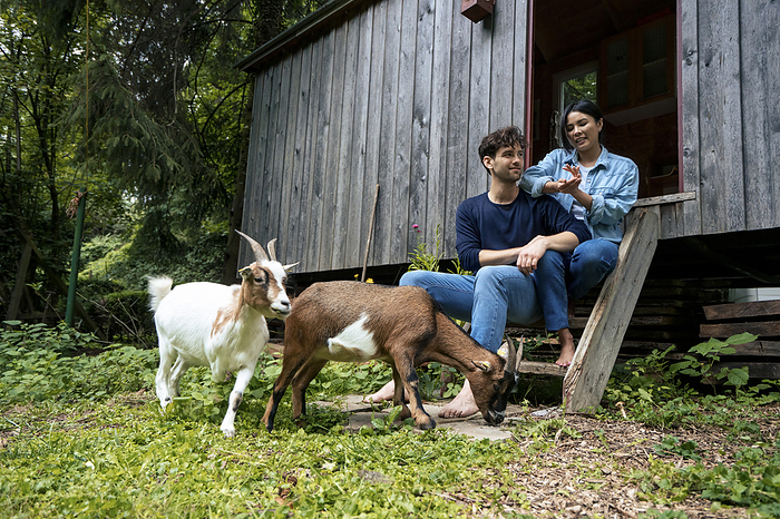 Smiling woman talking to man with goats near log cabin