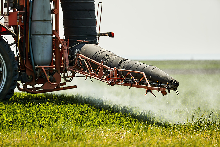 Serbia, Vojvodina Province, Tractor spraying herbicide in springtime wheat field