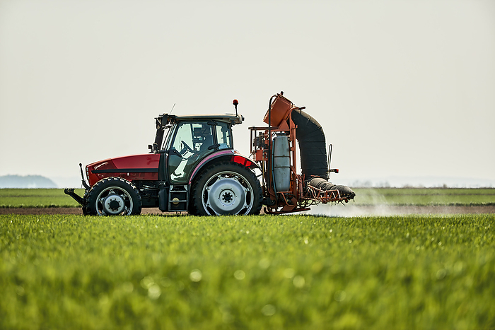 Serbia, Vojvodina Province, Tractor spraying herbicide in vast green wheat field