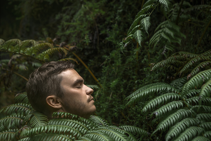 Man with eyes closed amidst fern plants