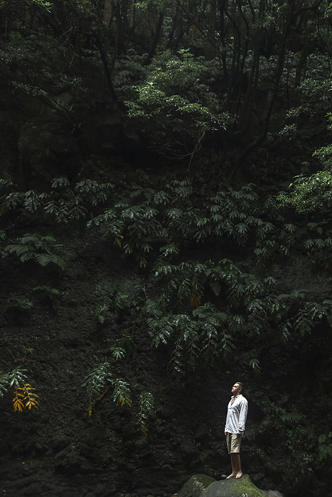Young man standing near trees in rainforest
