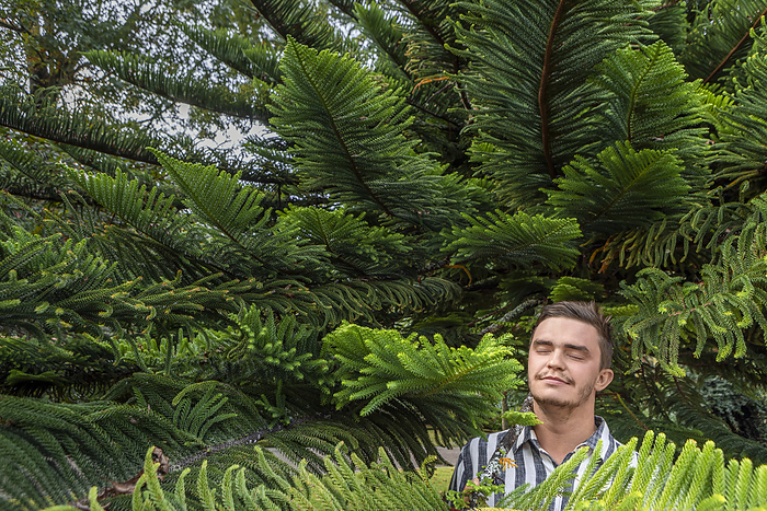Smiling man with eyes closed amidst branches of pine tree