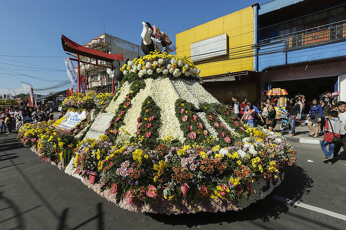 Japan float at the annual Tomohon International Flower Festival parade. This city is the heart of national floriculture. Tomohon, North Sulawesi, Sulawesi, Indonesia. Japan float at the annual Tomohon International Flower Festival parade in city that is the heart of national floriculture, Tomohon, North Sulawesi, Indonesia, Southeast Asia, Asia, by Robert Francis