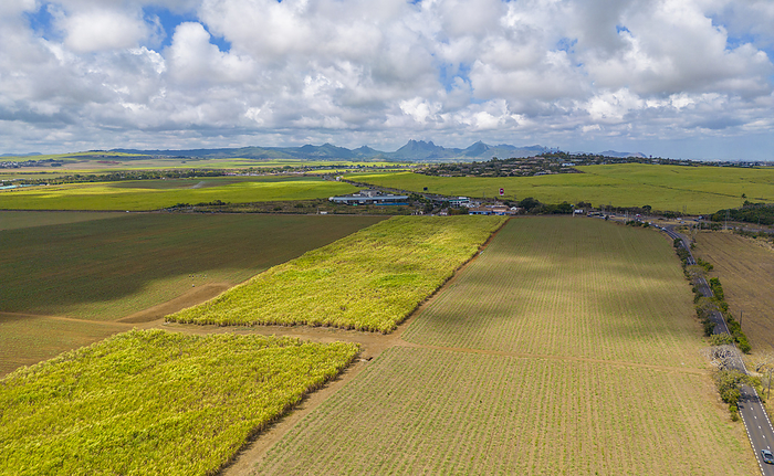 Aerial view of patchwork fields and mountains visible on horizon near Mapou, Rempart District, Mauritius, Indian Ocean, Africa Aerial view of patchwork fields and mountains visible on horizon near Mapou, Rempart District, Mauritius, Indian Ocean, Africa, by Frank Fell