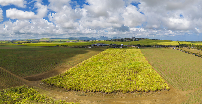 Aerial view of patchwork fields and mountains visible on horizon near Mapou, Rempart District, Mauritius, Indian Ocean, Africa Aerial view of patchwork fields and mountains visible on horizon near Mapou, Rempart District, Mauritius, Indian Ocean, Africa, by Frank Fell