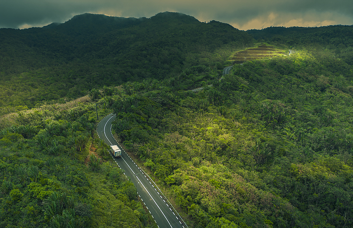 Aerial view of road through Black River Gorges National Park, Mauritius, Indian Ocean, Africa Aerial view of road through Black River Gorges National Park, Mauritius, Indian Ocean, Africa, by Frank Fell