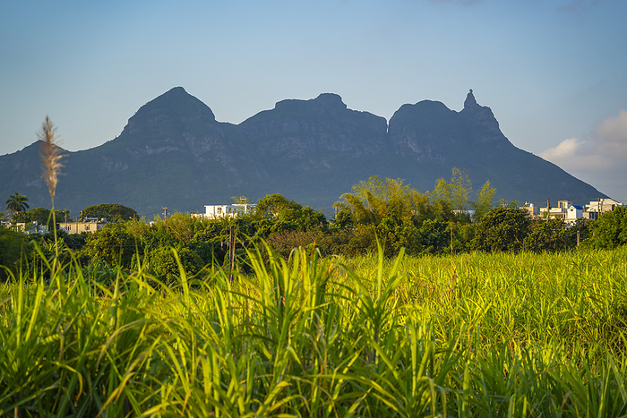 View of farmland and mountains near Quatre Bornes, Mauritius, Indian Ocean, Africa View of farmland and mountains near Quatre Bornes, Mauritius, Indian Ocean, Africa, by Frank Fell