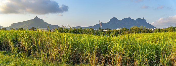 View of farmland and mountains near Quatre Bornes, Mauritius, Indian Ocean, Africa View of farmland and mountains near Quatre Bornes, Mauritius, Indian Ocean, Africa, by Frank Fell