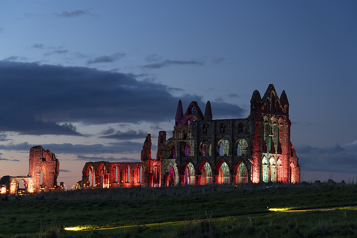 Whitby Abbey illuminated in October 2023, The Yorkshire coast, England Whitby Abbey illuminated in October 2023, The Yorkshire coast, Whitby, Yorkshire, England, United Kingdom, Europe, by John Potter