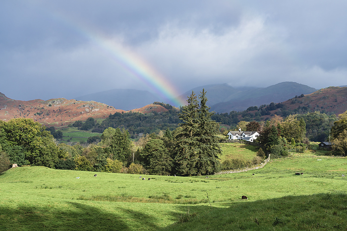 Rainbow and showers over the Cumbrian fells around Elter Water in the south east Lake District, England Rainbow and showers over the Cumbrian Fells around Elter Water  Elterwater  in the south east Lake District, Lake District National Park, UNESCO World Heritage Site, Cumbria, England, United Kingdom, Europe, by John Potter