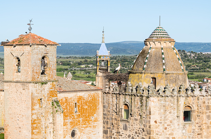 Nesting storks on the the Iglesia de San Martin  on the left and middle  and Torre del Alfiler  on the right , Trujillo, Extremadura, Caceres, Spain Nesting storks on the the Iglesia de San Martin, on the left and centre, and Torre del Alfiler, on the right, Trujillo, Caceres, Extremadura, Spain, Europe, by Nadia Isakova
