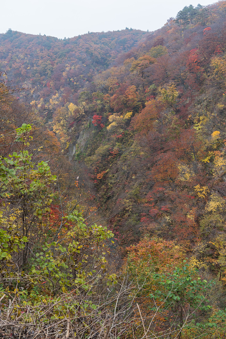 Autumn leaves in Naruko Gorge, a gorge in Naruko Onsen, Osaki City, Miyagi Prefecture, Japan