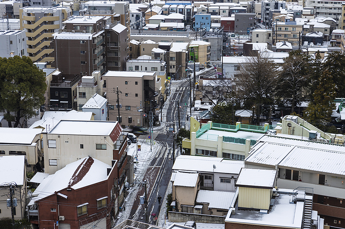 snowy landscape Snow in Tokyo