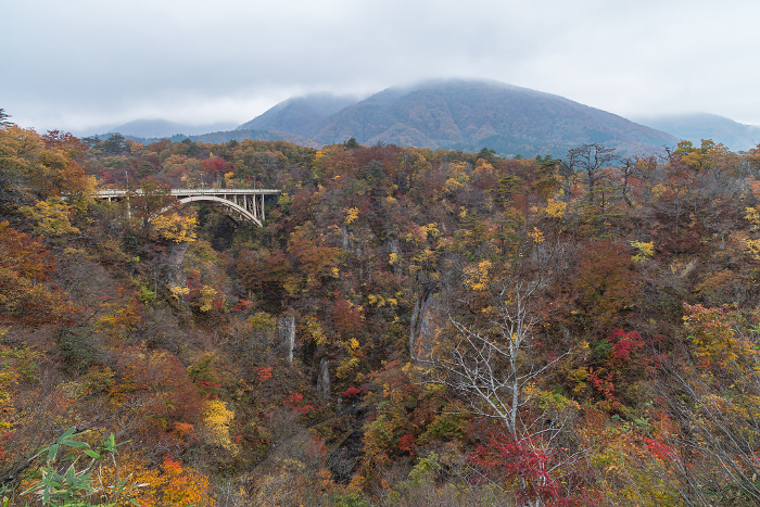 Autumn leaves and the Ohfukazawa Bridge seen from the rest house at Naruko Gorge, a gorge in Naruko Onsen, Osaki City, Miyagi Prefecture, Japan