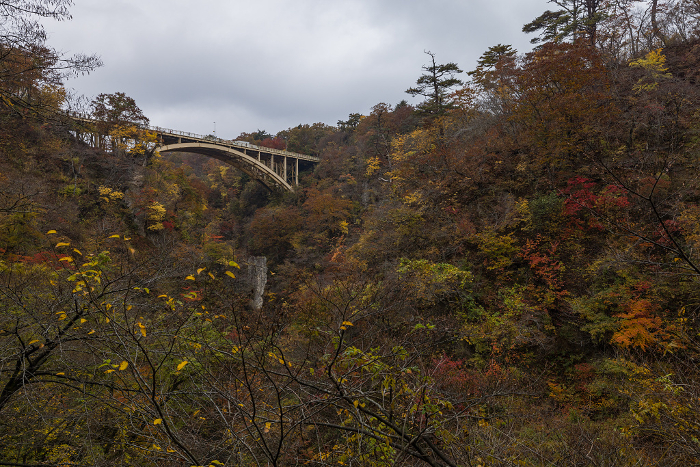 Autumn leaves and the Ohfukazawa Bridge seen from the promenade of Naruko Gorge, a gorge in Naruko Onsen, Osaki City, Miyagi Prefecture, Japan