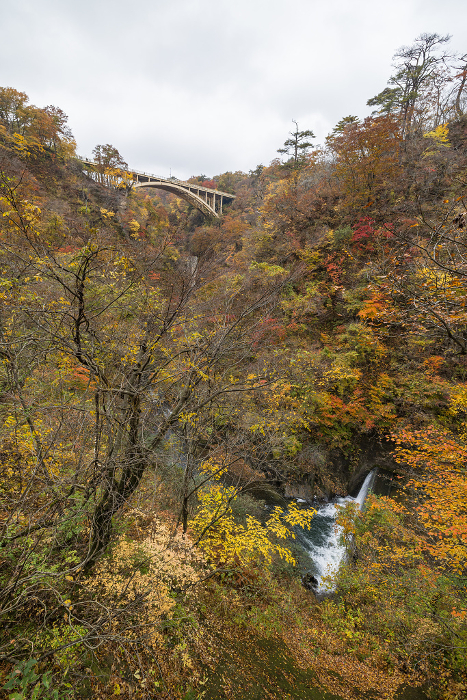 Autumn leaves and the Ohfukazawa Bridge seen from the promenade of Naruko Gorge, a gorge in Naruko Onsen, Osaki City, Miyagi Prefecture, Japan