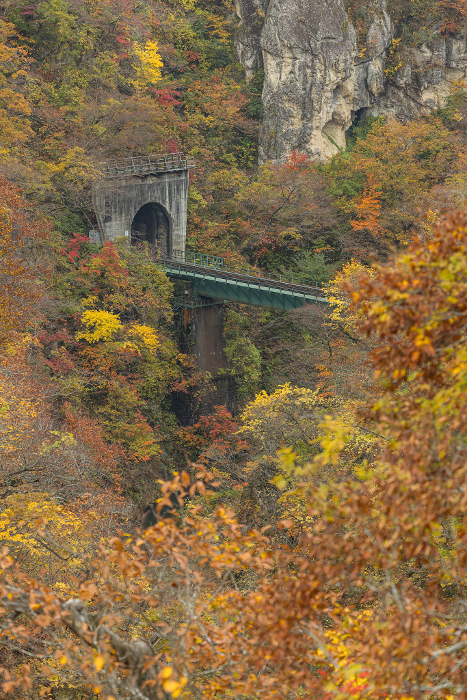 Autumn leaves and the Rikuu East Line tunnel and railway tracks as seen from the Ohfukazawa Bridge in Naruko Gorge, a gorge in Naruko Onsen, Osaki City, Miyagi Prefecture, Japan