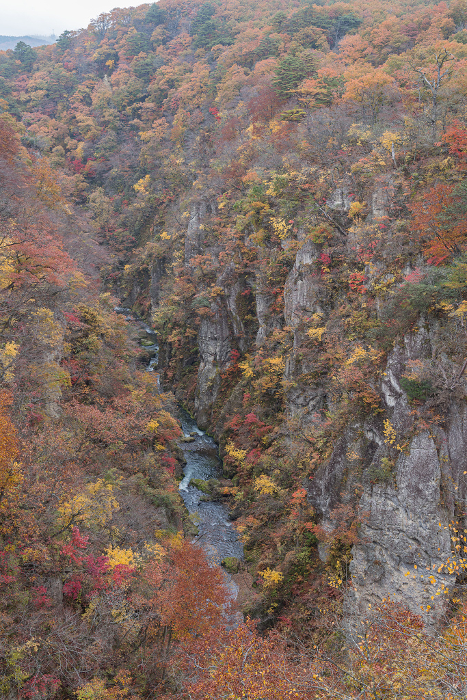 Autumn leaves and the Otani River seen from the Ohfukazawa Bridge in Naruko Gorge, a gorge in Naruko Onsen, Osaki City, Miyagi Prefecture, Japan
