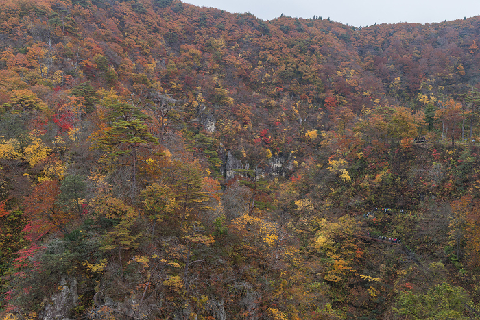 Autumn leaves and canyon seen from Ohfukazawa Bridge in Naruko Gorge, Naruko Onsen, Osaki City, Miyagi Prefecture, Japan