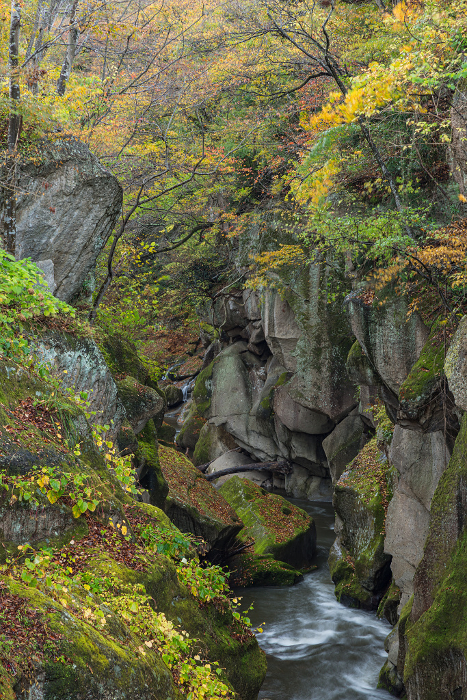 Autumn leaves of Lei Gorge, a gorge lined with oddly shaped rocks and the Natori River flowing through Taihaku-ku, Sendai City, Miyagi Prefecture, Japan