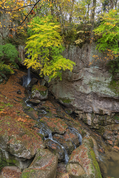 Sanjisuji Falls and autumn leaves in the Leiyaku Gorge, a gorge lined with the Natori River and oddly shaped rocks flowing through Taihaku-ku, Sendai City, Miyagi Prefecture, Japan