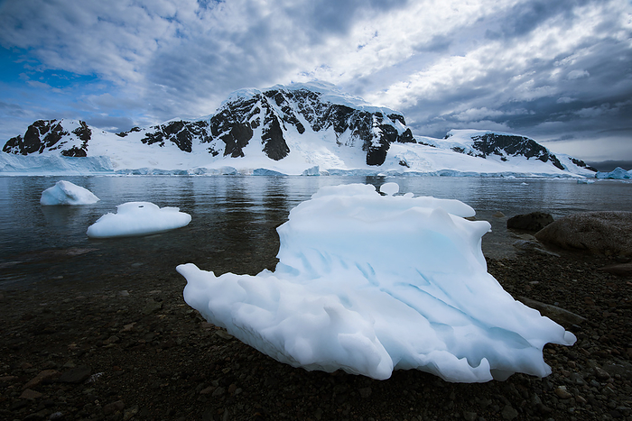 Ice, snow and land of the Antarctic peninsula at Danco Island; Danco Island, Antarctica, by Michael Melford / Design Pics