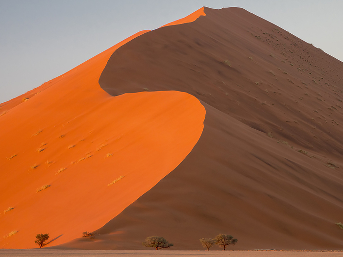 Contrasting light and shadow on sand dunes at sunrise in Namib-Naukluft Park; Sossusvlei, Namibia, by Michael Melford / Design Pics