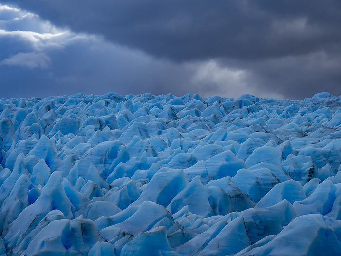 Blue ice from Grey Glacier that comes down from the third largest ice field, the southern Patagonian ice field in Torres del Paine National Park; Patagonia, Chile, by Michael Melford / Design Pics