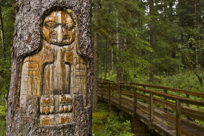 Tree trunk carved by a Native American artist at Bartlett Cove in Glacier Bay National Park; Alaska, United States of America, by Michael Melford / Design Pics